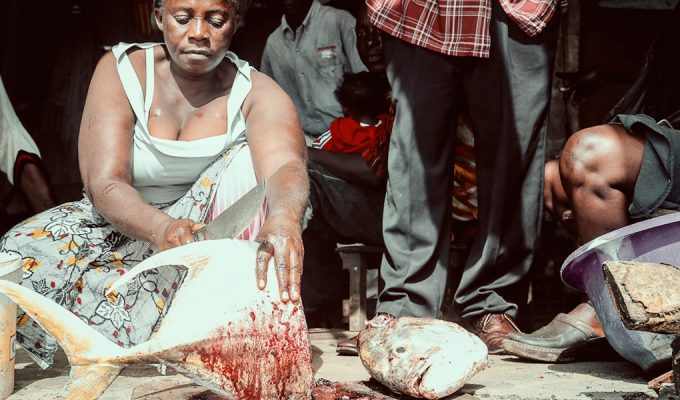 al-terreno-liberiano-4-9