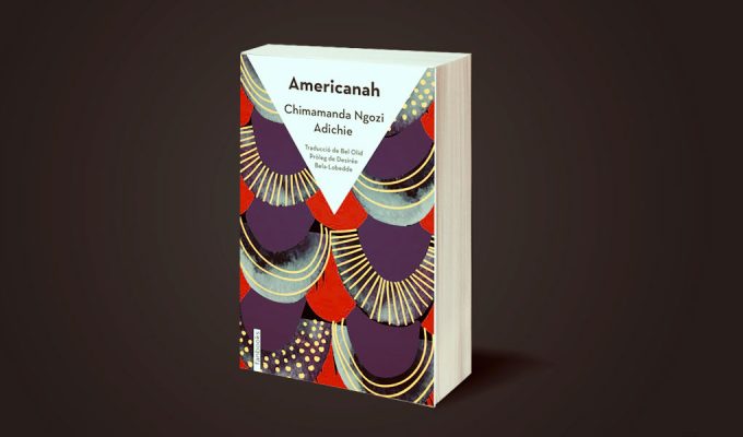 americanah-chimamanda-ngozi-adichie-1-3